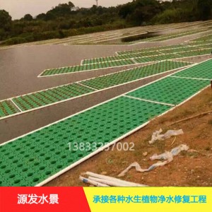 源发承接各种水生植物净水绿化工程  生态浮岛