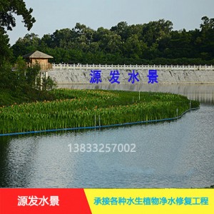 源发承接各种水生植物净水绿化工程  生态浮岛