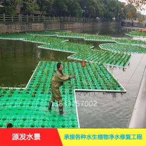 源发承接各种水生植物净水绿化工程  生态浮岛