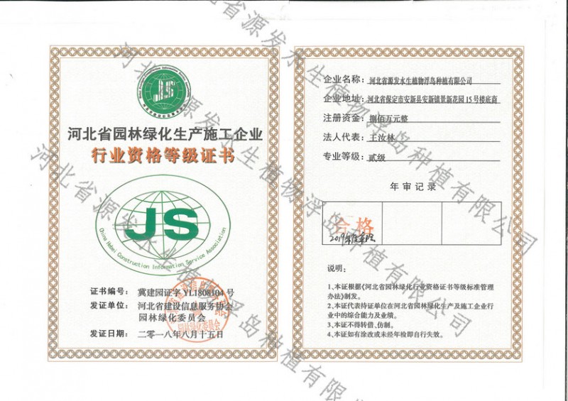 行业资格登记证书