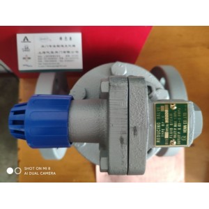 日本VENN阀天蒸汽减压阀 RP-6正宗减压阀