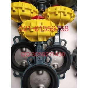 原装正品 德国依博罗EBRO气动扇形蝶阀