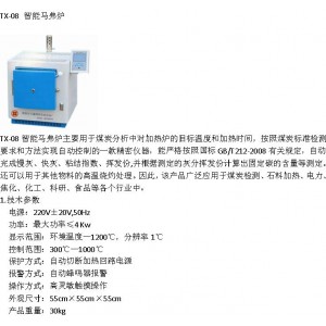 快速灰份测定仪连续自动传送且速度可调